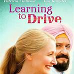 learning to drive movie review4