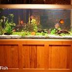 fish tank bench4