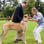 Is Marmaduke a good movie?1