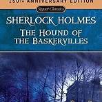the hound of the baskervilles book5