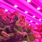 indoor vertical farming companies stock1