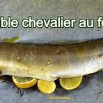 omble chevalier recette1