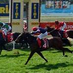 daily papers horse racing tips for today in australia4