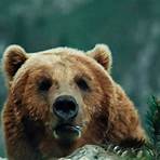 The Bear (1998 film) película2