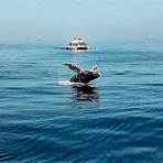 walvis bay namibia2