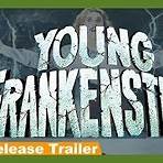 where to watch young frankenstein from mel brooks3
