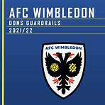 the dons wimbledon4