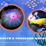 ocean life pictures and facts images for powerpoint templates3