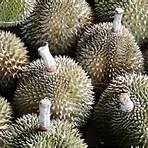 durian delivery in singapore1