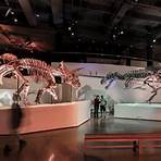 houston museum of natural science free days2