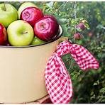 gourmet carmel apple orchard restaurant in columbus ohio website3