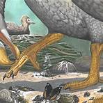 who created the dodo skeleton bird1