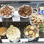 chateraise cake shop4
