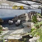 when was the biodome in montreal built in new york city ballet gift shop3