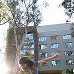 university of california los angeles 2021 dorm.rooms open1