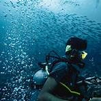 types of bahamian fishes names1