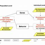 define resile behavior definition biology3