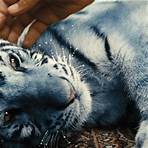 Der Blaue Tiger Film4