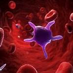 what does elevated platelets indicate in blood2