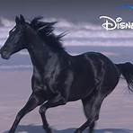 Black Beauty movie5