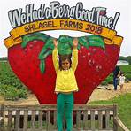 bomis spider farm in maryland3