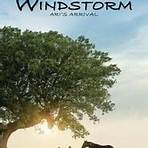 Windstorm 2 Film3