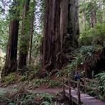 When did the National Park Service take over del Norte coast redwoods?4