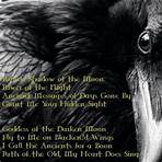 the raven edgar allan poe pinterest4