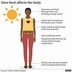 heatwave effects on the body3