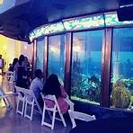 Why should you visit Shedd Aquarium?3