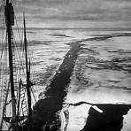 how did the expedition survive in antarctica and surrounding land and air4