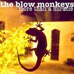 The Blow Monkeys2