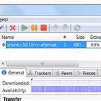 How do I download files with BitTorrent?2