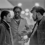 Bonnie Blue: James Cotton's Life in the Blues movie4