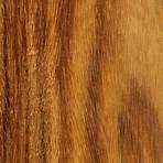 rosewood holz1