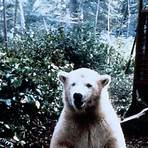 Alaska – Die Spur des Polarbären5