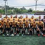 confederação brasileira de futebol society2