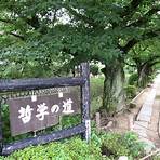 Kyoto wikipedia3