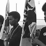 The Black Panthers: Vanguard of the Revolution3