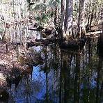 Rice Creek Conservation Area Palatka, FL3
