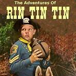 Adventures of Rin Tin Tin3