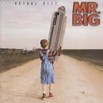 Mr. Big (American band)4