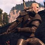 the witcher 33