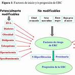 insuficiencia renal crónica etiología4
