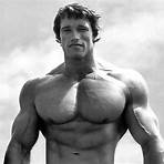 arnold schwarzenegger wallpaper hd3