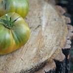 grüne tomaten einlegen statt wegwerfen1