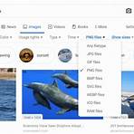 how to find copyright free images from google photos4