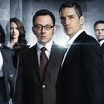 person of interest tv tropes2
