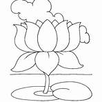 flor de lótus desenho colorida3