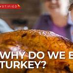 Is the Australian Turkey related to the Turkey?1